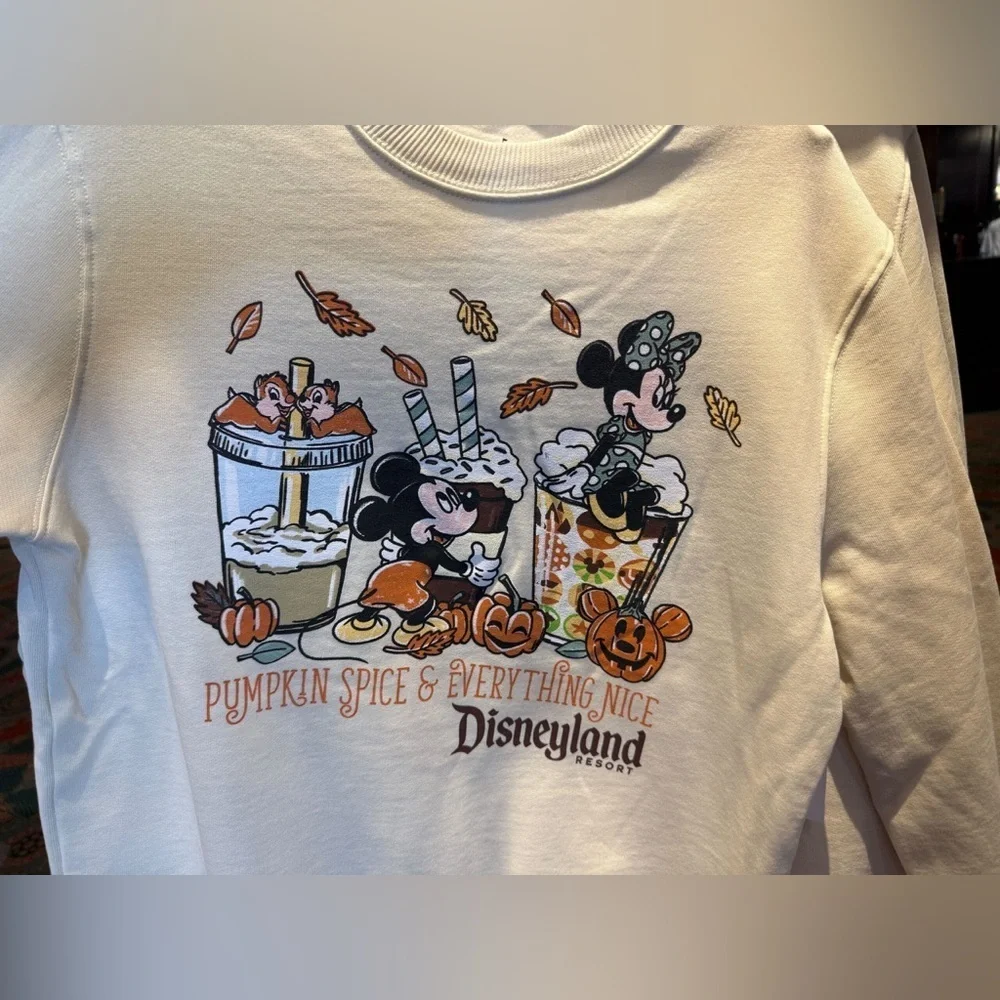 New Disneyland Pumpkin Spice Sweatshirt size S - Picture 2 of 2